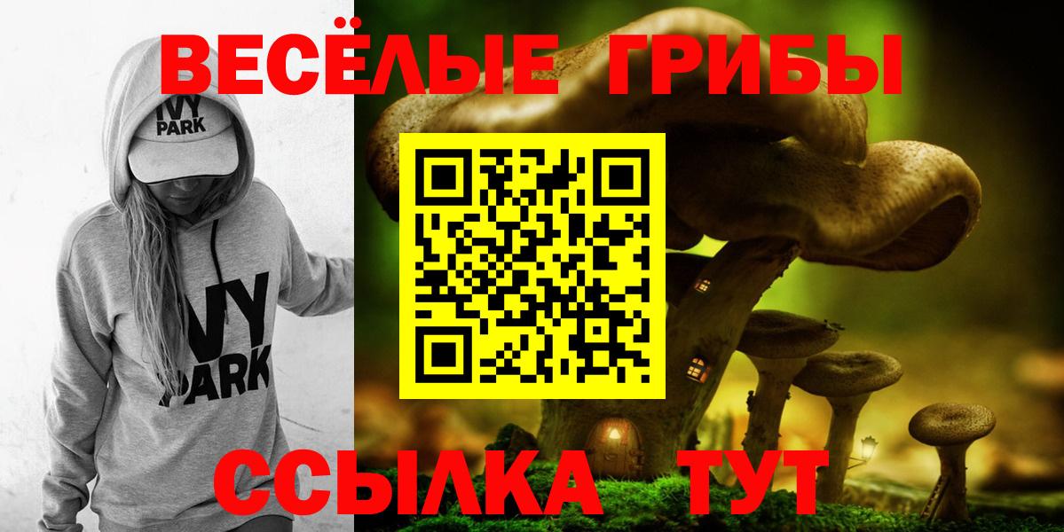 продажа наркотиков  Вход с VPN  Псилоцибиновые грибы GOLDEN TEACHER  Якутск  Псилоцибиновые грибы мухоморы 